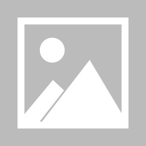 传媒二区传媒的简单介绍